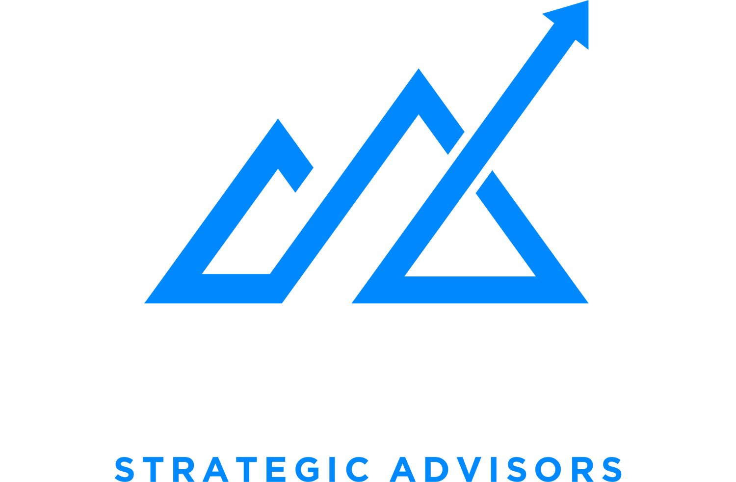 Solomon Strategic Advisors